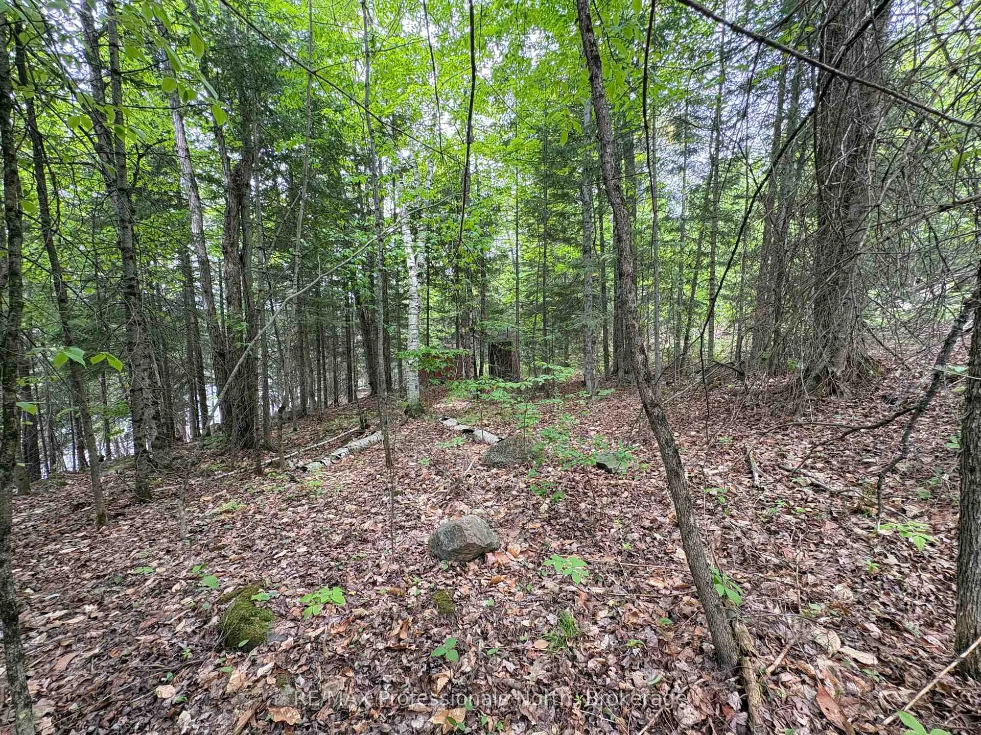 Photo 13 of Poverty Bay Trail, Minden Hills, Minden — HOMEH