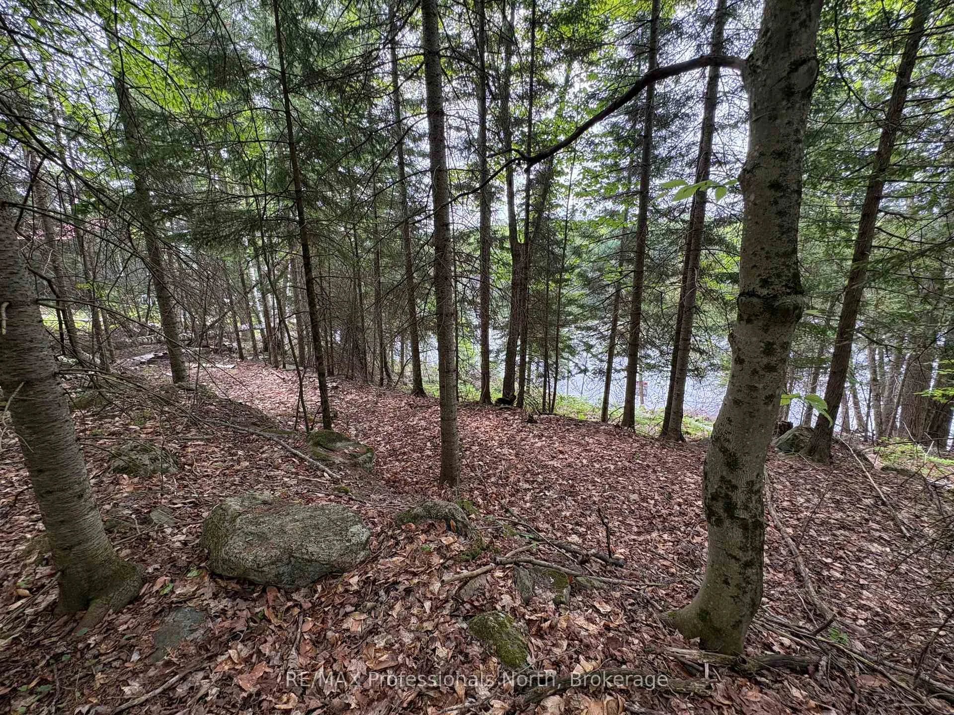 Photo 14 of Poverty Bay Trail, Minden Hills, Minden — HOMEH