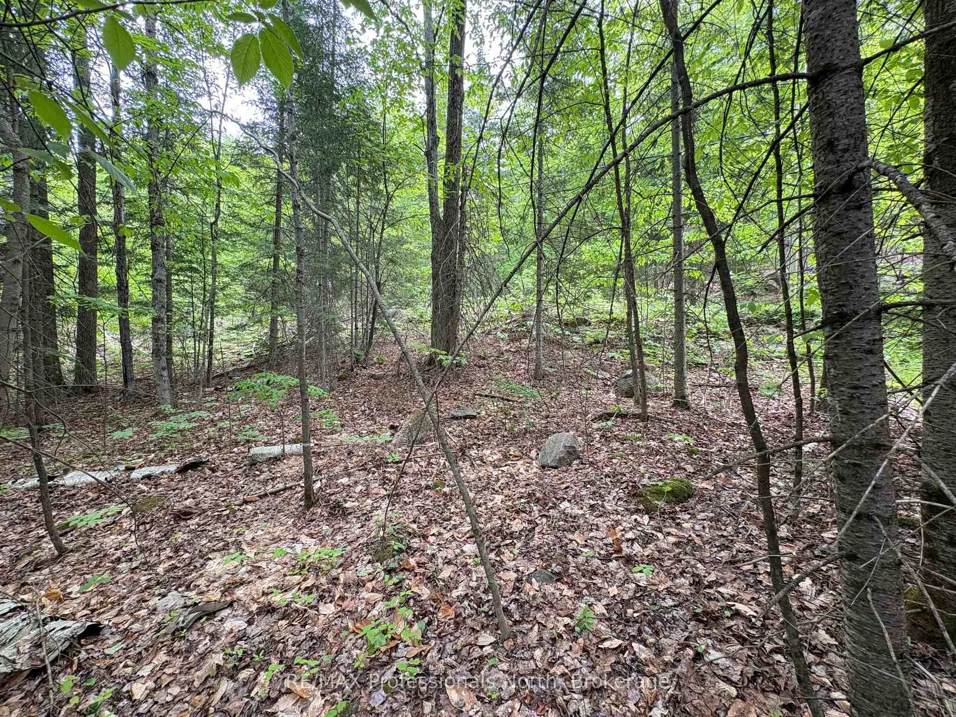 Photo 15 of Poverty Bay Trail, Minden Hills, Minden — HOMEH
