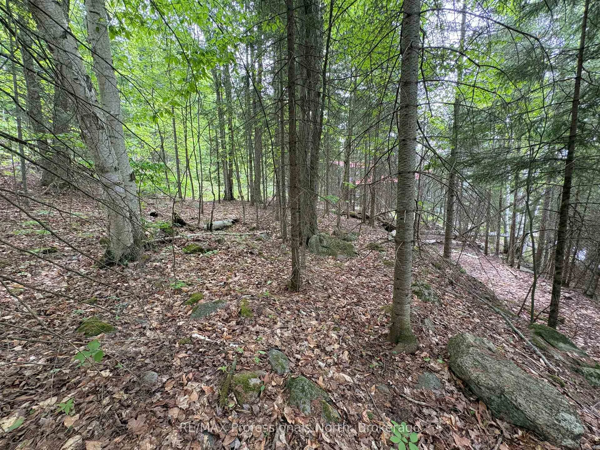 Photo 16 of Poverty Bay Trail, Minden Hills, Minden — HOMEH