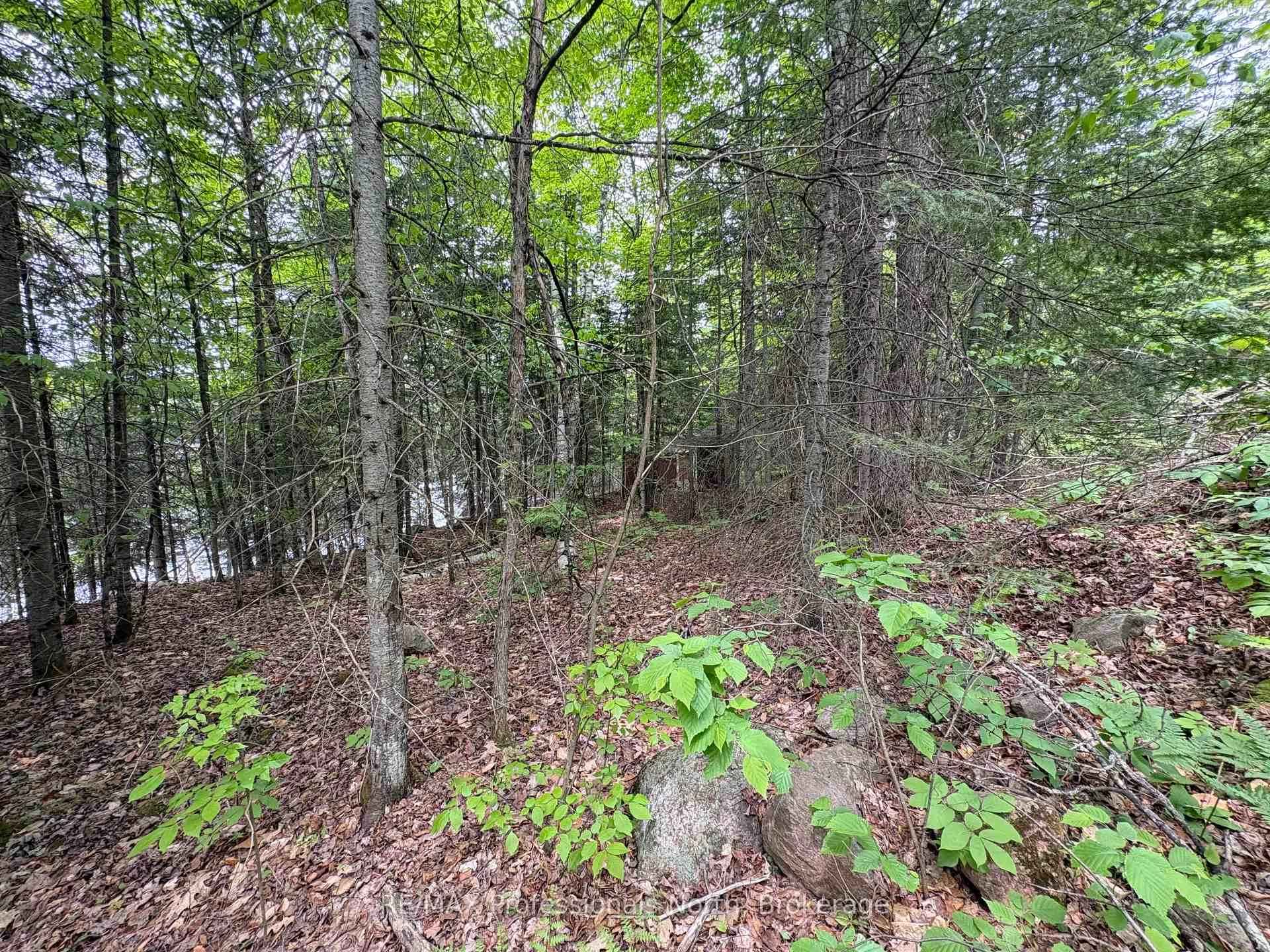 Photo 17 of Poverty Bay Trail, Minden Hills, Minden — HOMEH