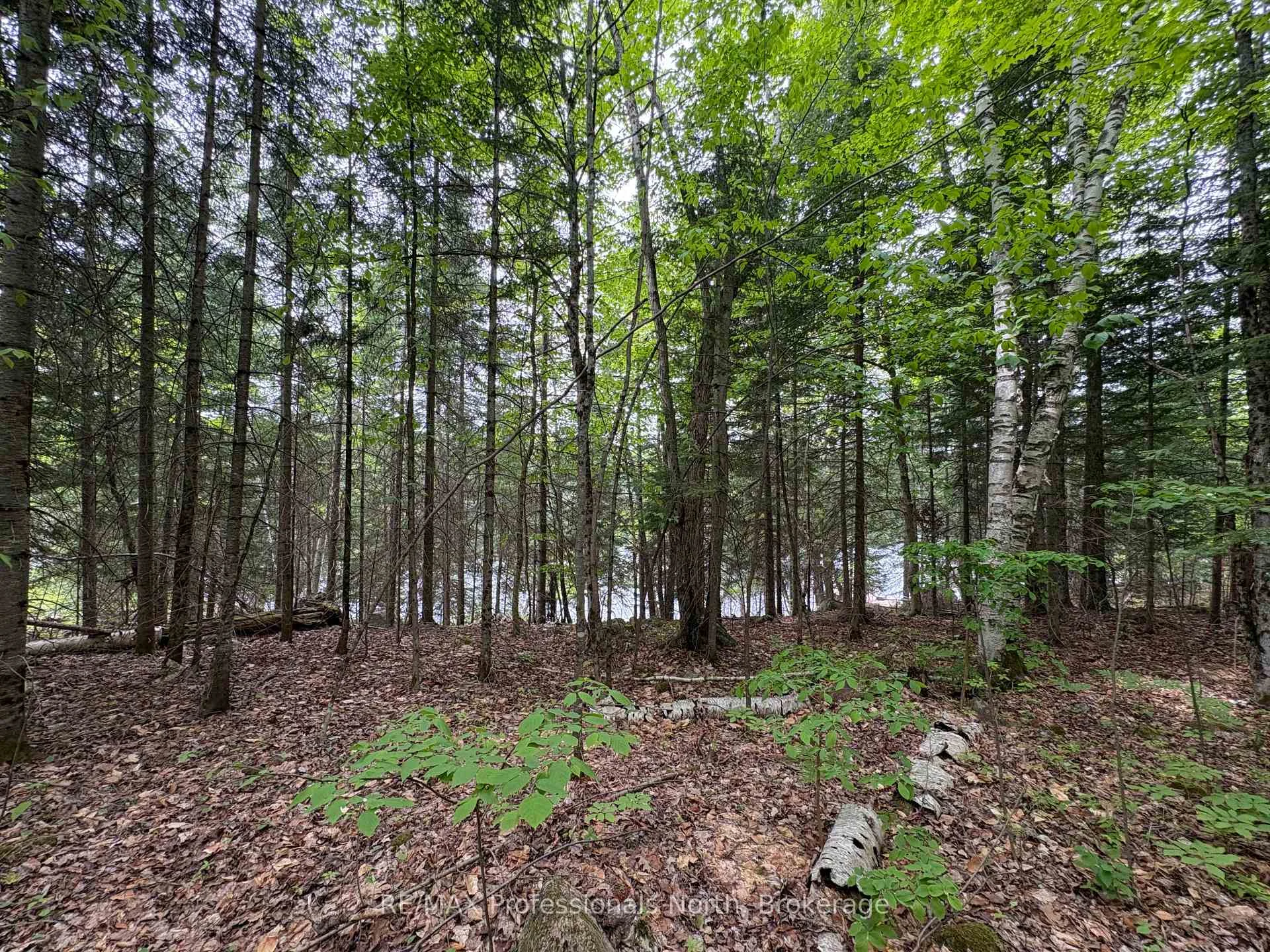 Photo 18 of Poverty Bay Trail, Minden Hills, Minden — HOMEH
