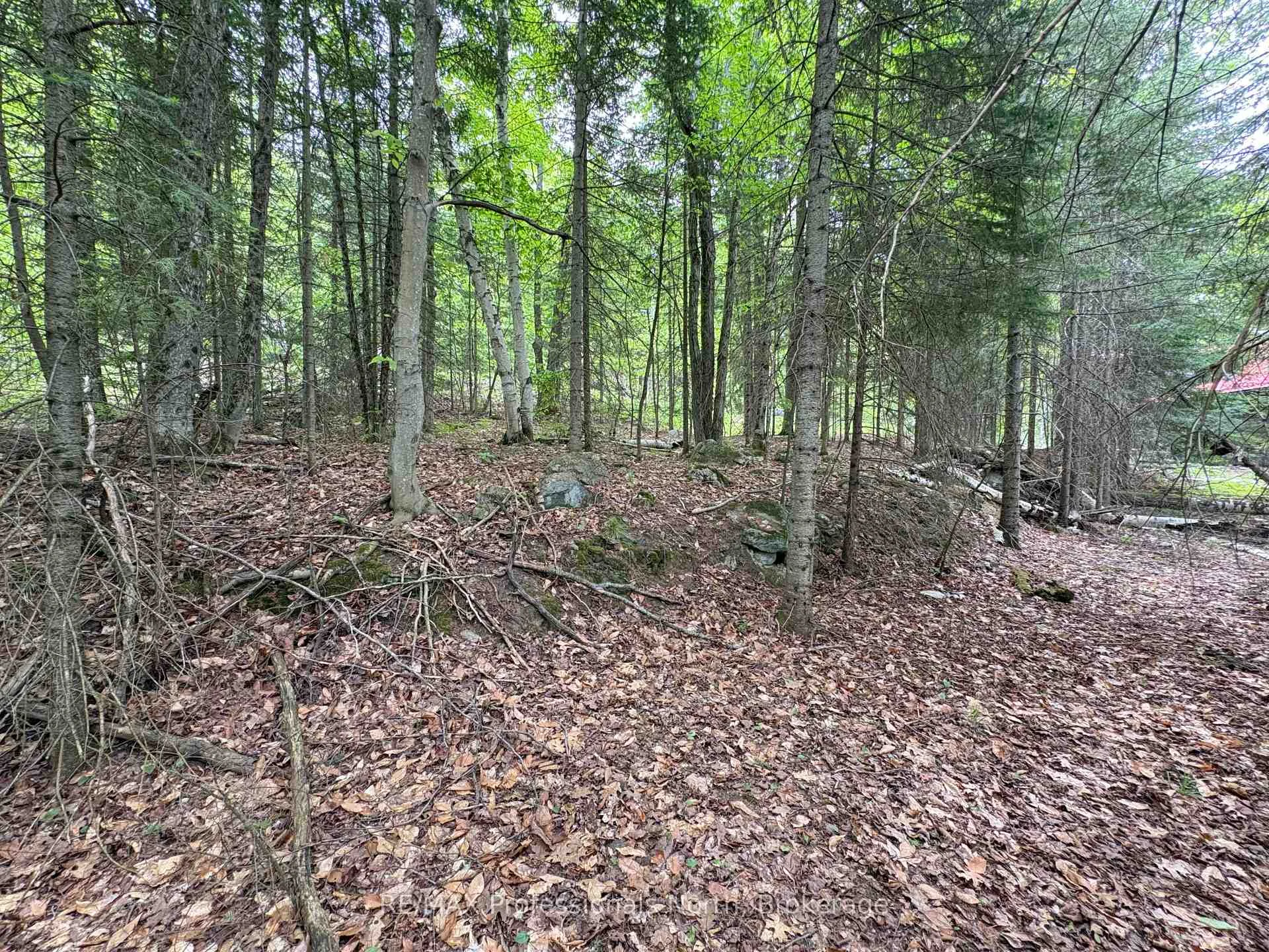 Photo 19 of Poverty Bay Trail, Minden Hills, Minden — HOMEH