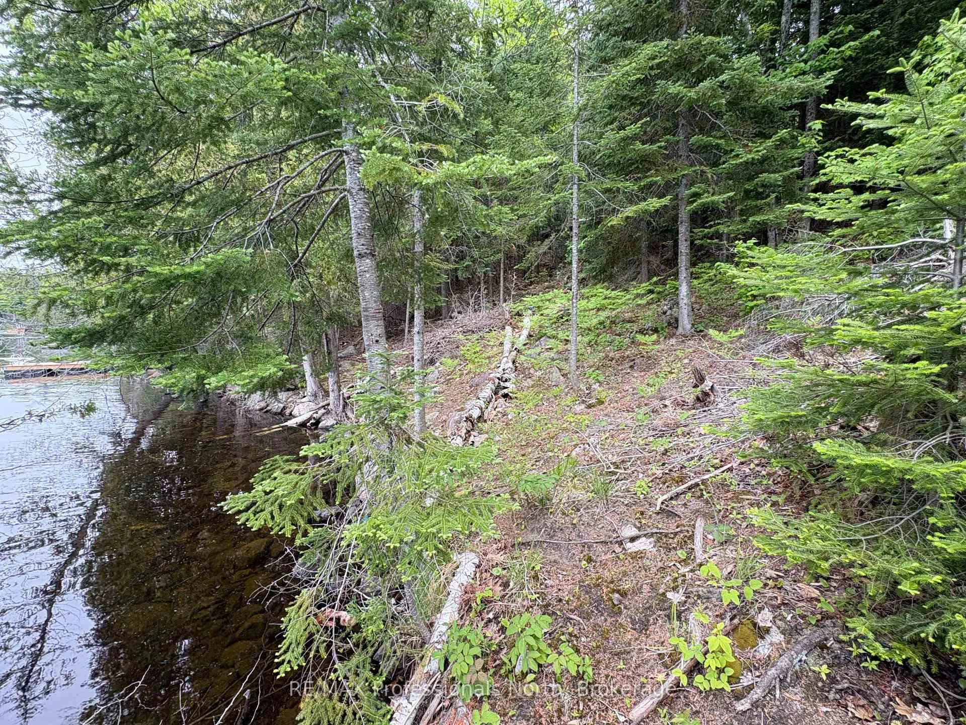 Photo 21 of Poverty Bay Trail, Minden Hills, Minden — HOMEH