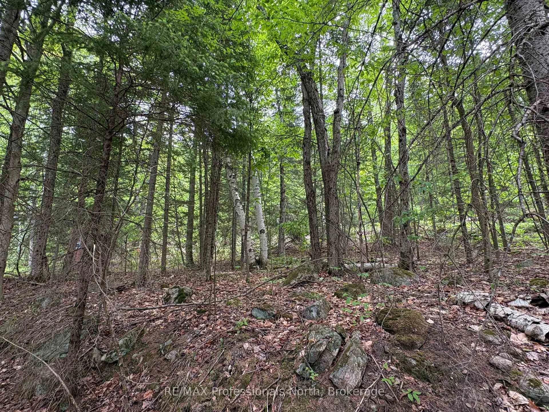 Photo 22 of Poverty Bay Trail, Minden Hills, Minden — HOMEH
