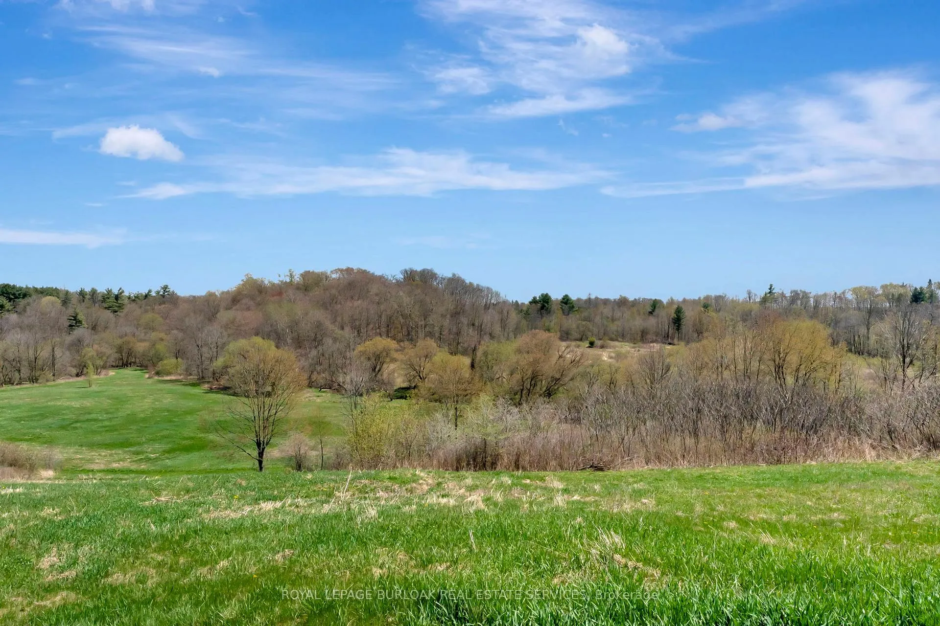 Photo 10 of 70 Governors Road E, Brant, Paris — HOMEH