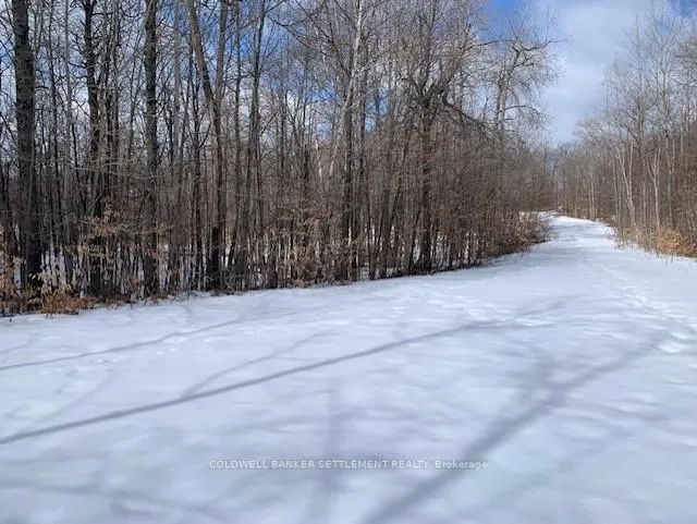 Photo 1 of Red Pine Road, Tay Valley, Bathurst/Burgess & Sherbrooke (South Sherbrooke) Twp — HOMEH