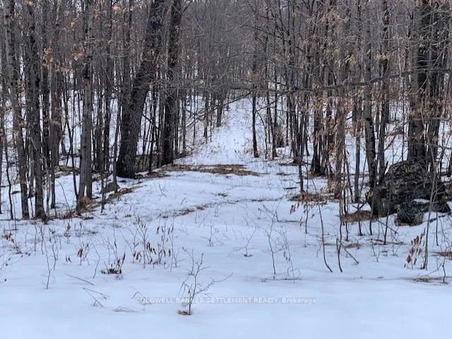 Photo 2 of Red Pine Road, Tay Valley, Bathurst/Burgess & Sherbrooke (South Sherbrooke) Twp — HOMEH