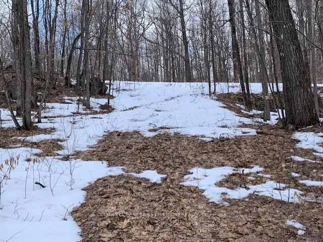 Photo 3 of Red Pine Road, Tay Valley, Bathurst/Burgess & Sherbrooke (South Sherbrooke) Twp — HOMEH