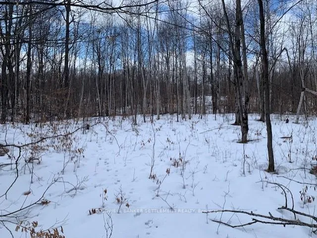 Photo 4 of Red Pine Road, Tay Valley, Bathurst/Burgess & Sherbrooke (South Sherbrooke) Twp — HOMEH
