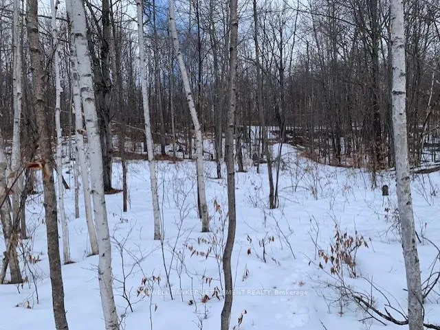 Photo 5 of Red Pine Road, Tay Valley, Bathurst/Burgess & Sherbrooke (South Sherbrooke) Twp — HOMEH