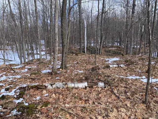 Photo 6 of Red Pine Road, Tay Valley, Bathurst/Burgess & Sherbrooke (South Sherbrooke) Twp — HOMEH