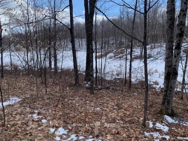 Photo 7 of Red Pine Road, Tay Valley, Bathurst/Burgess & Sherbrooke (South Sherbrooke) Twp — HOMEH