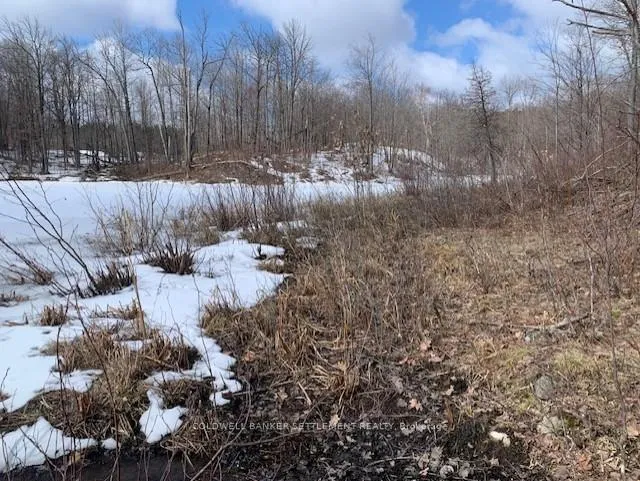 Photo 8 of Red Pine Road, Tay Valley, Bathurst/Burgess & Sherbrooke (South Sherbrooke) Twp — HOMEH