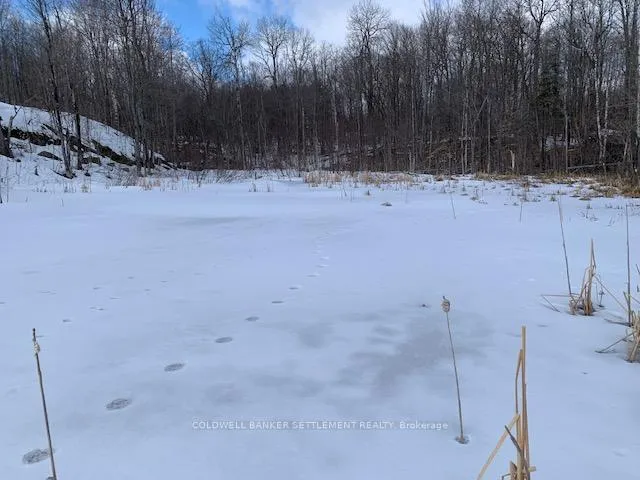 Photo 9 of Red Pine Road, Tay Valley, Bathurst/Burgess & Sherbrooke (South Sherbrooke) Twp — HOMEH