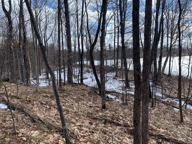 Photo 14 of Red Pine Road, Tay Valley, Bathurst/Burgess & Sherbrooke (South Sherbrooke) Twp — HOMEH