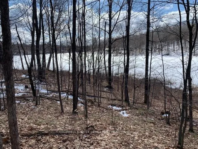 Photo 15 of Red Pine Road, Tay Valley, Bathurst/Burgess & Sherbrooke (South Sherbrooke) Twp — HOMEH