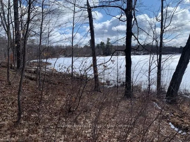 Photo 16 of Red Pine Road, Tay Valley, Bathurst/Burgess & Sherbrooke (South Sherbrooke) Twp — HOMEH