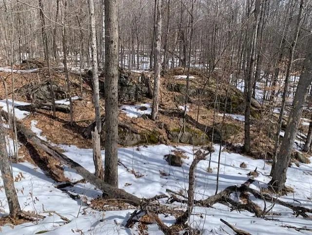 Photo 19 of Red Pine Road, Tay Valley, Bathurst/Burgess & Sherbrooke (South Sherbrooke) Twp — HOMEH