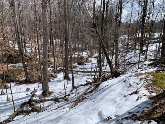 Photo 20 of Red Pine Road, Tay Valley, Bathurst/Burgess & Sherbrooke (South Sherbrooke) Twp — HOMEH