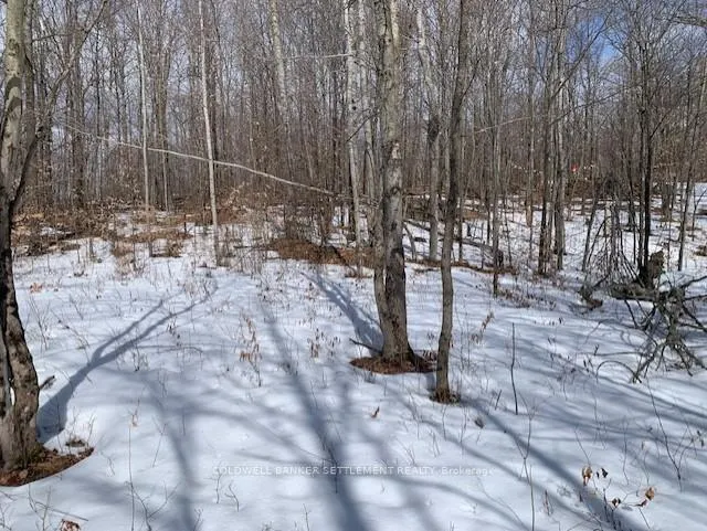 Photo 21 of Red Pine Road, Tay Valley, Bathurst/Burgess & Sherbrooke (South Sherbrooke) Twp — HOMEH