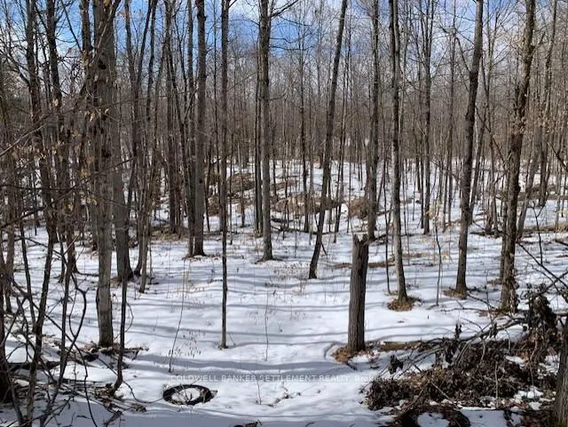 Photo 22 of Red Pine Road, Tay Valley, Bathurst/Burgess & Sherbrooke (South Sherbrooke) Twp — HOMEH