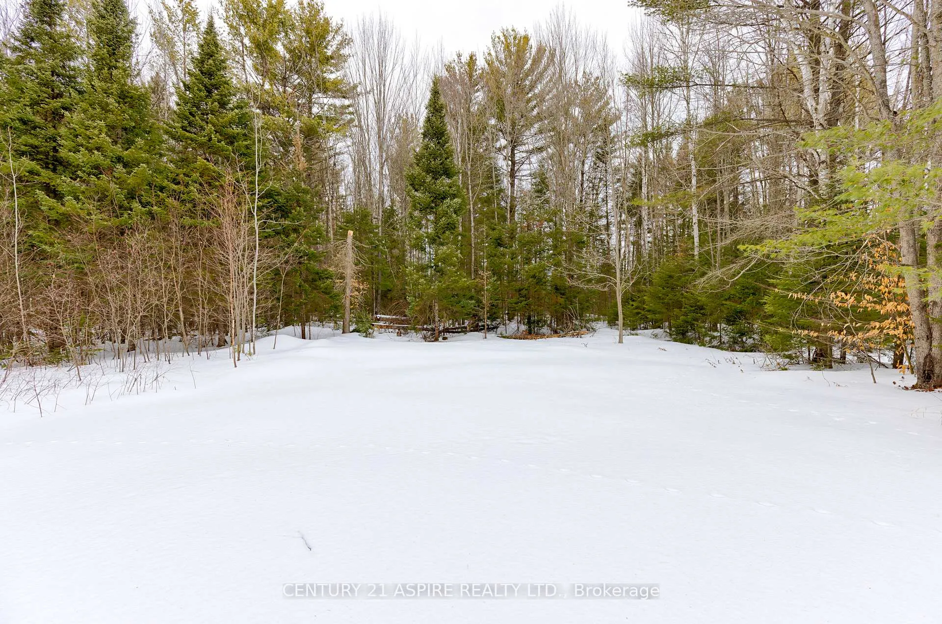 Photo 48 of 544 Achray Road, Petawawa — HOMEH