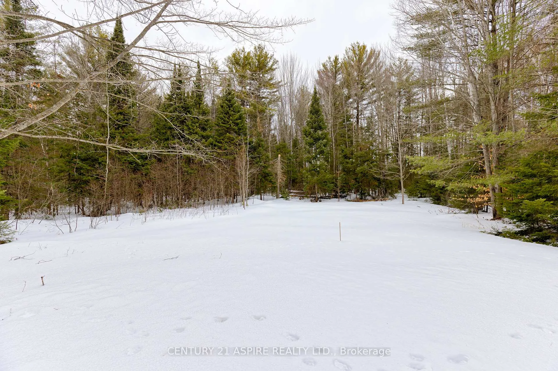 Photo 49 of 544 Achray Road, Petawawa — HOMEH