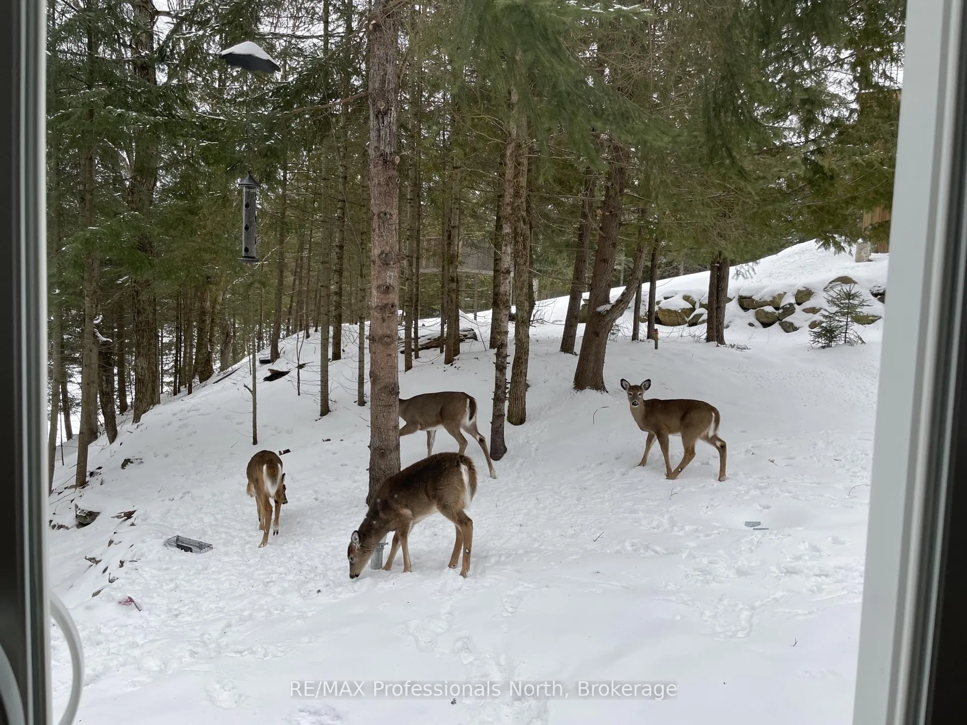 Photo 45 of 1005 Osgoode Road, Minden Hills, Minden — HOMEH