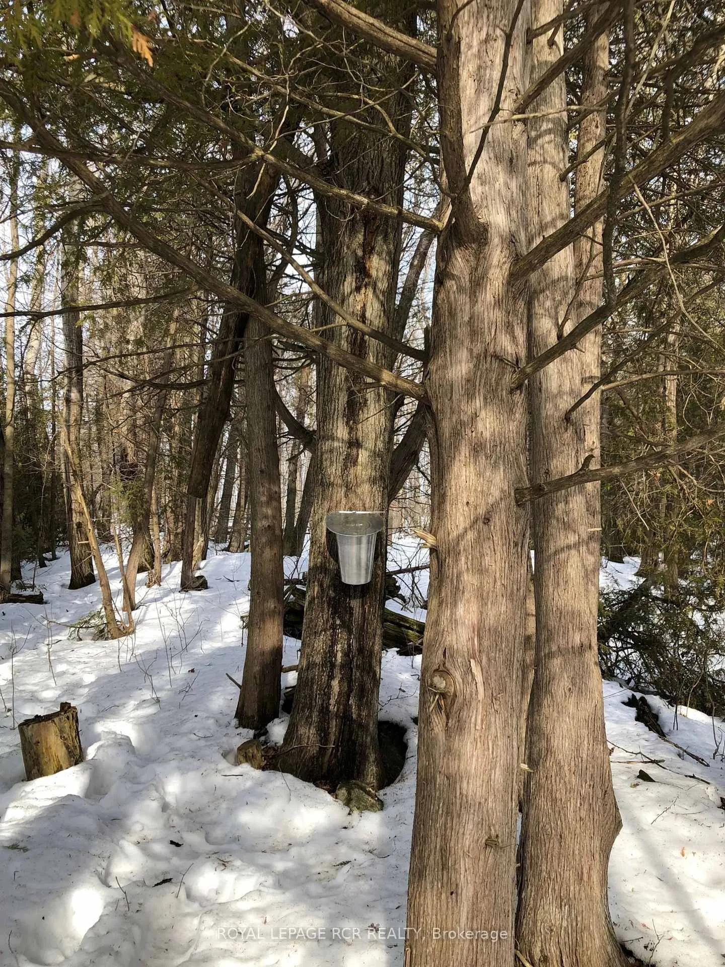 Photo 49 of 5823 Eighth Line, Erin, Rural Erin — HOMEH