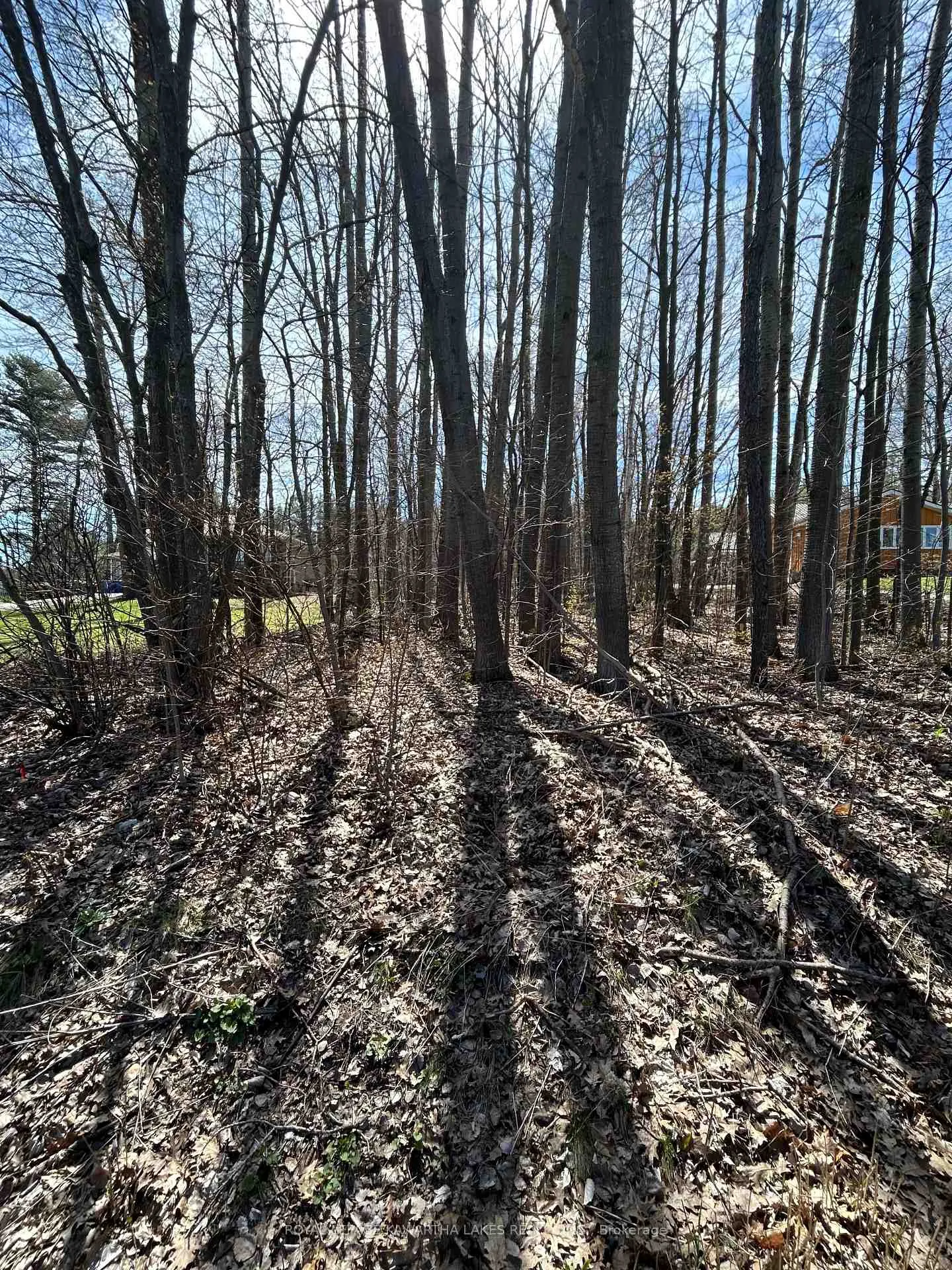 Photo 2 of Poplar Drive, Hamilton Township, Bewdley — HOMEH