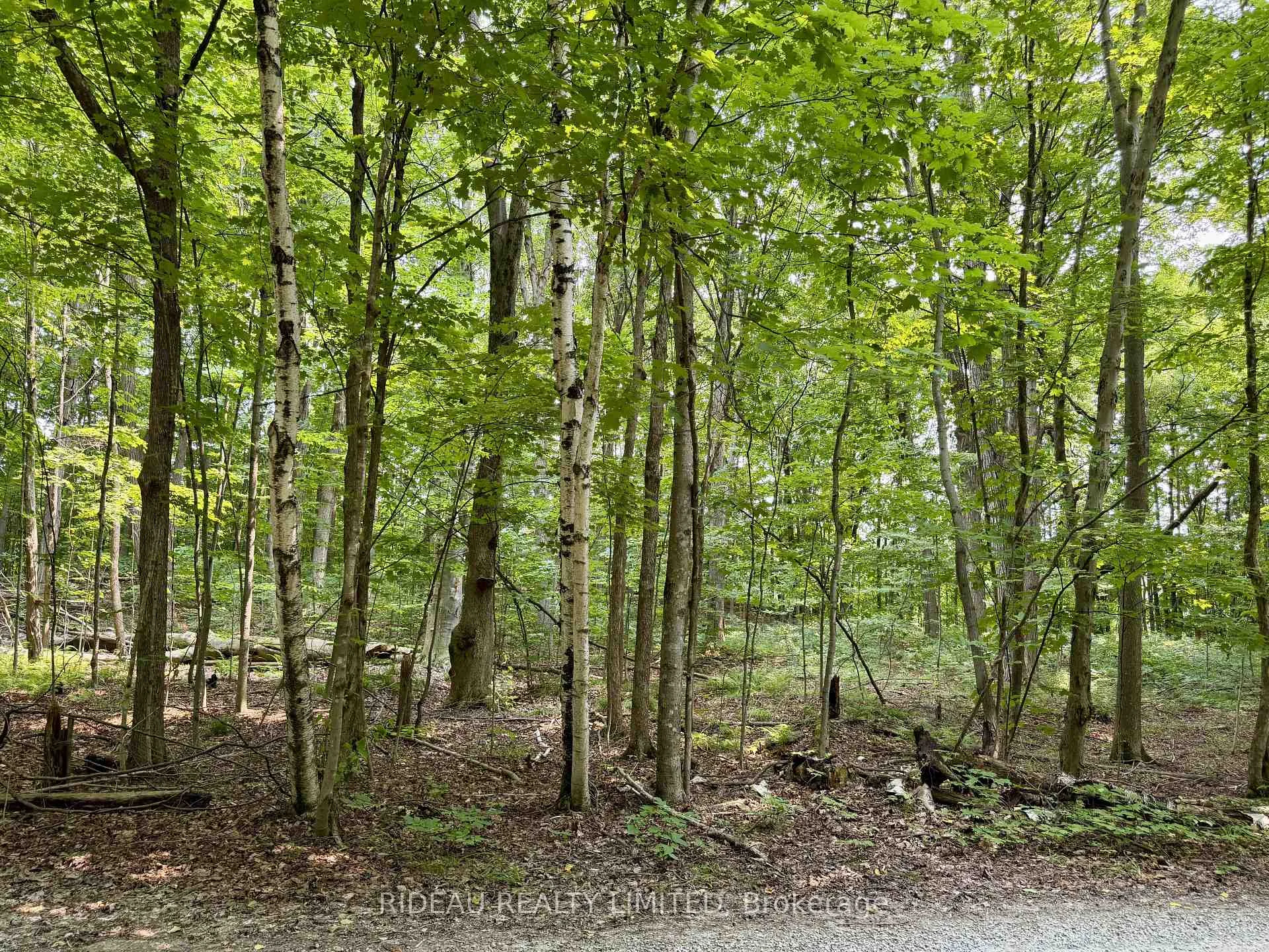 Photo of PT 38 Cedar Sands Road