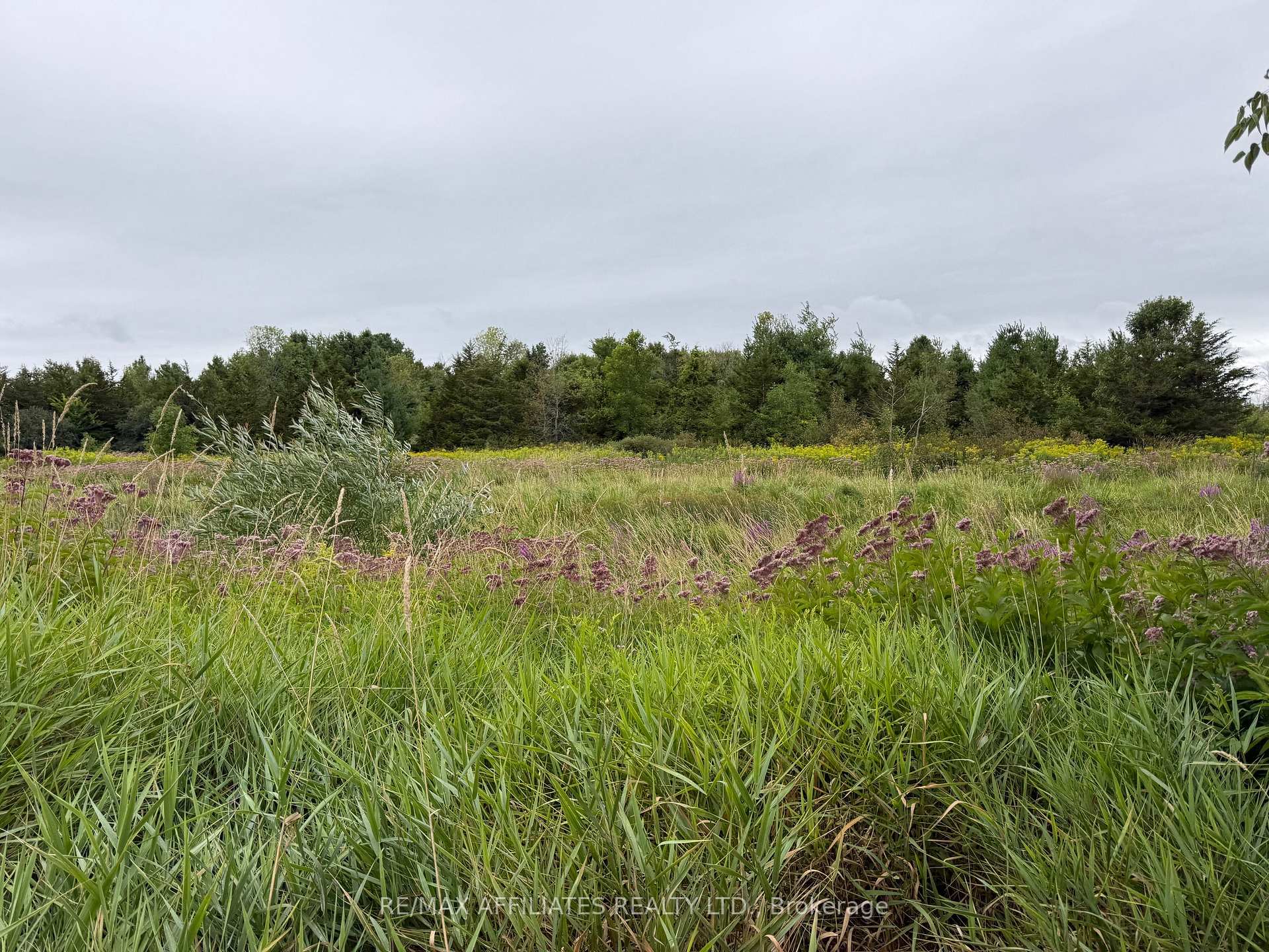 Photo 6 of Ham Road, Loyalist, Lennox and Addington - South — HOMEH