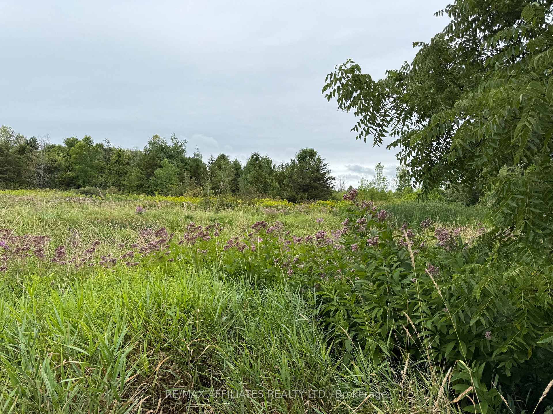 Photo 7 of Ham Road, Loyalist, Lennox and Addington - South — HOMEH