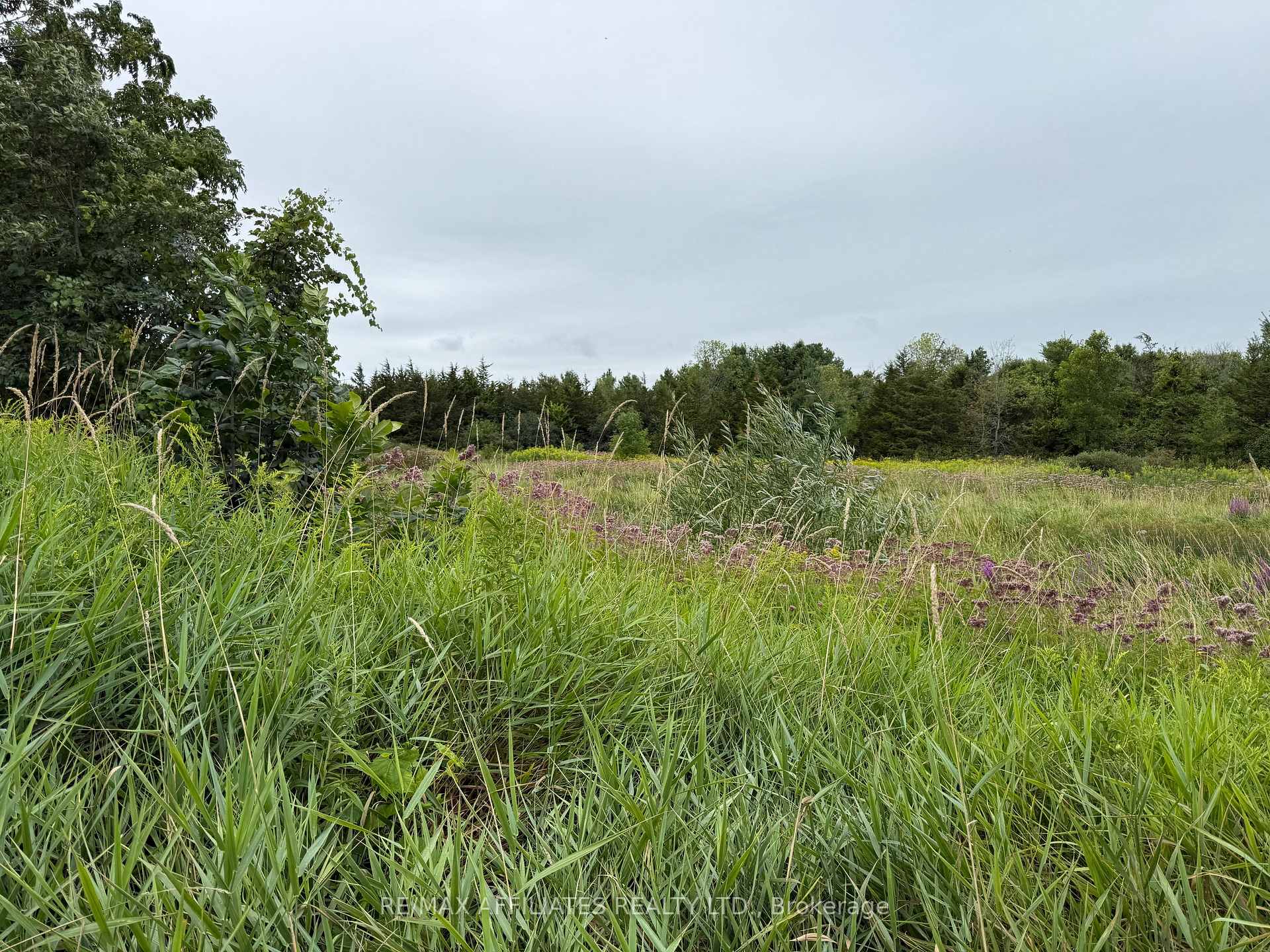 Photo 8 of Ham Road, Loyalist, Lennox and Addington - South — HOMEH