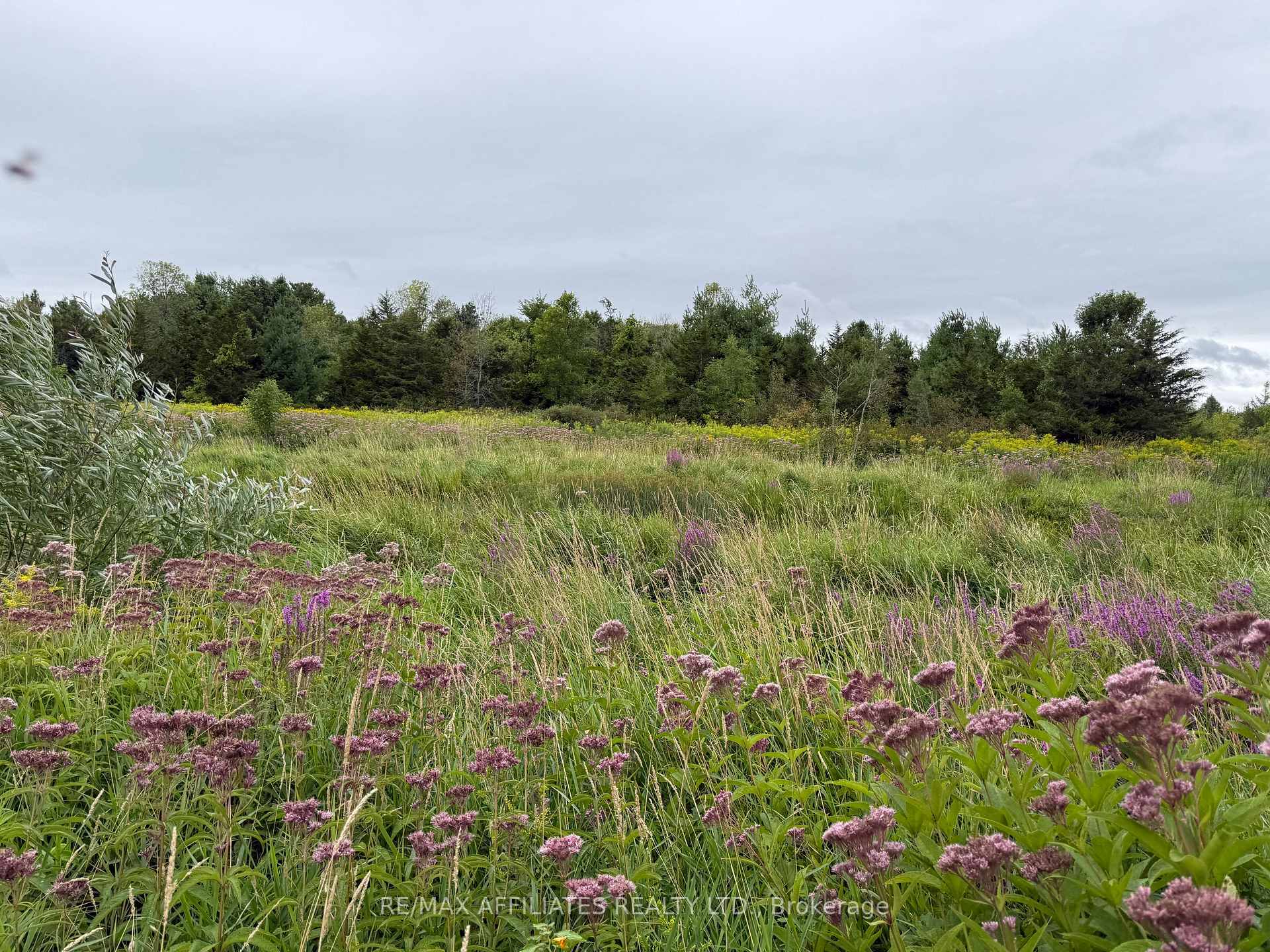 Photo 9 of Ham Road, Loyalist, Lennox and Addington - South — HOMEH