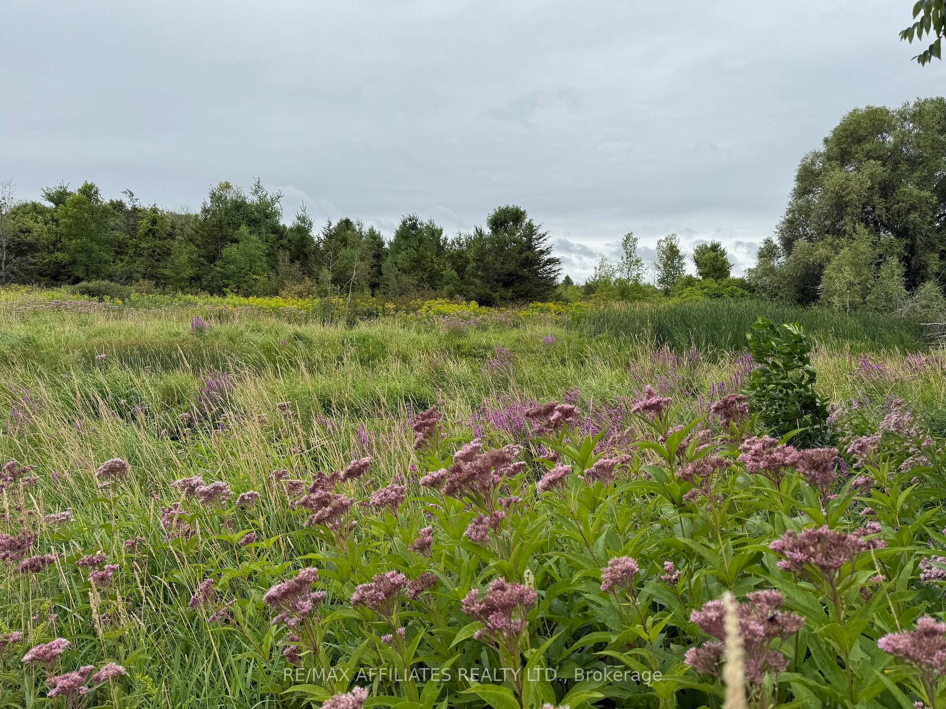 Photo 10 of Ham Road, Loyalist, Lennox and Addington - South — HOMEH