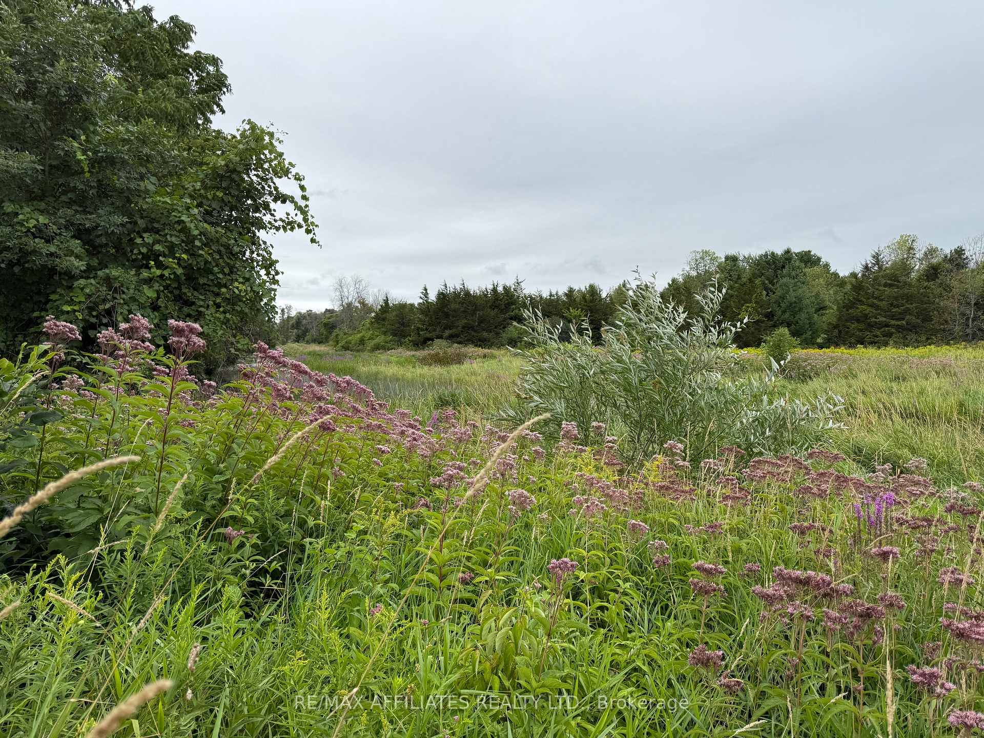 Photo 11 of Ham Road, Loyalist, Lennox and Addington - South — HOMEH