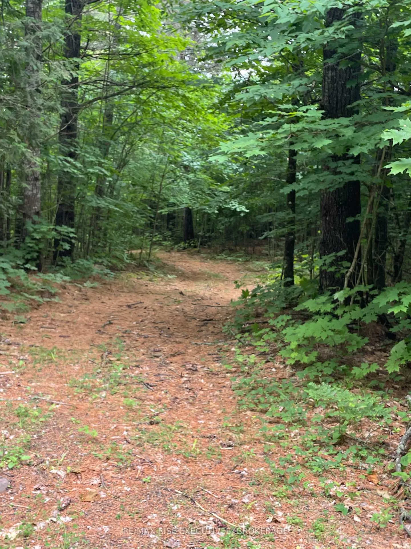 Photo 9 of 1311A Road 506, Frontenac, Frontenac North — HOMEH