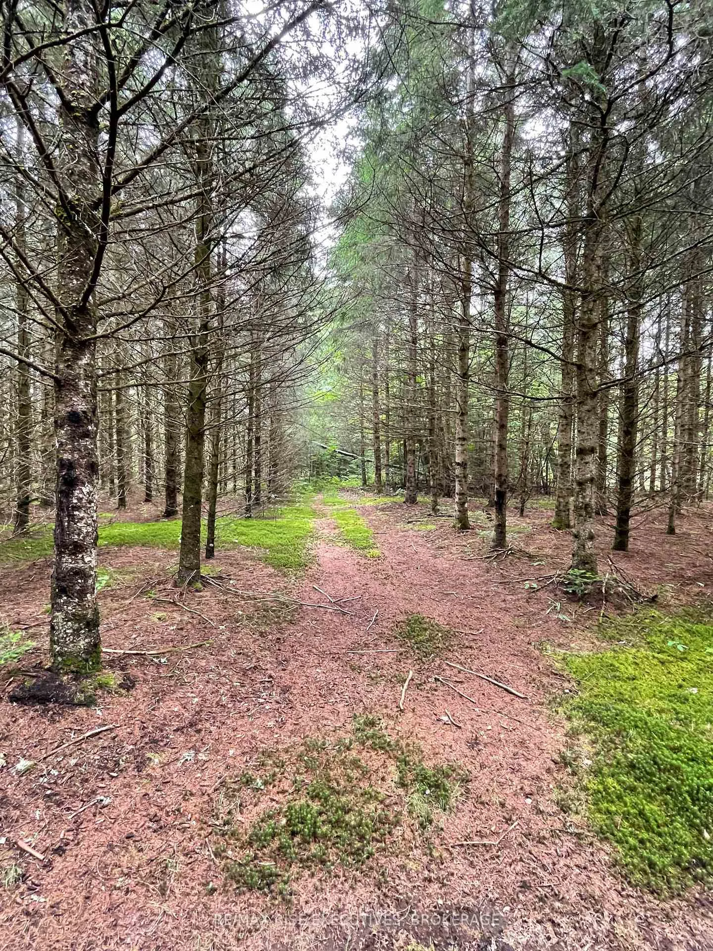 Photo 11 of 1311A Road 506, Frontenac, Frontenac North — HOMEH