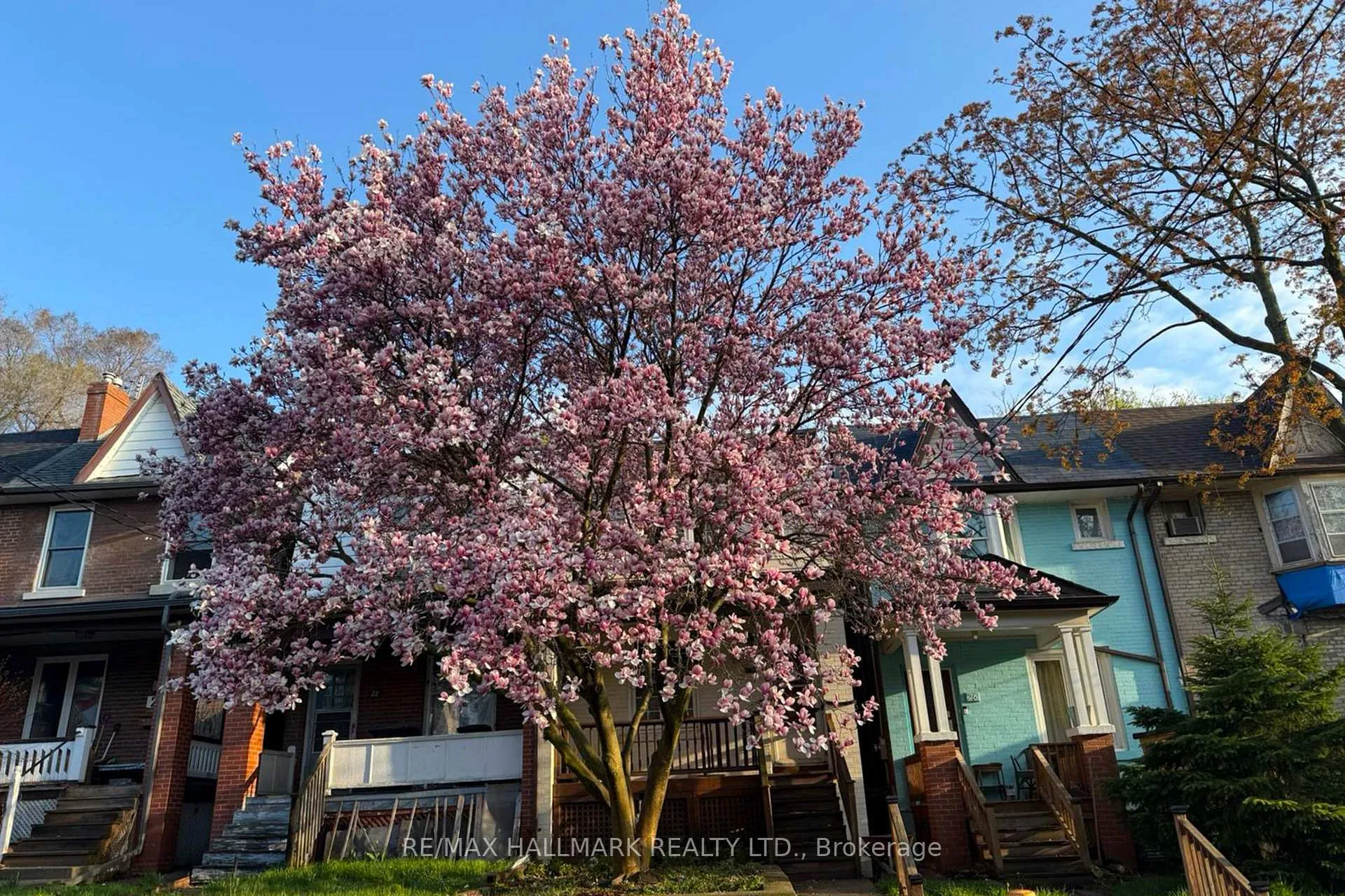 Photo 44 of 24 Richard Avenue, Toronto, Greenwood-Coxwell — HOMEH