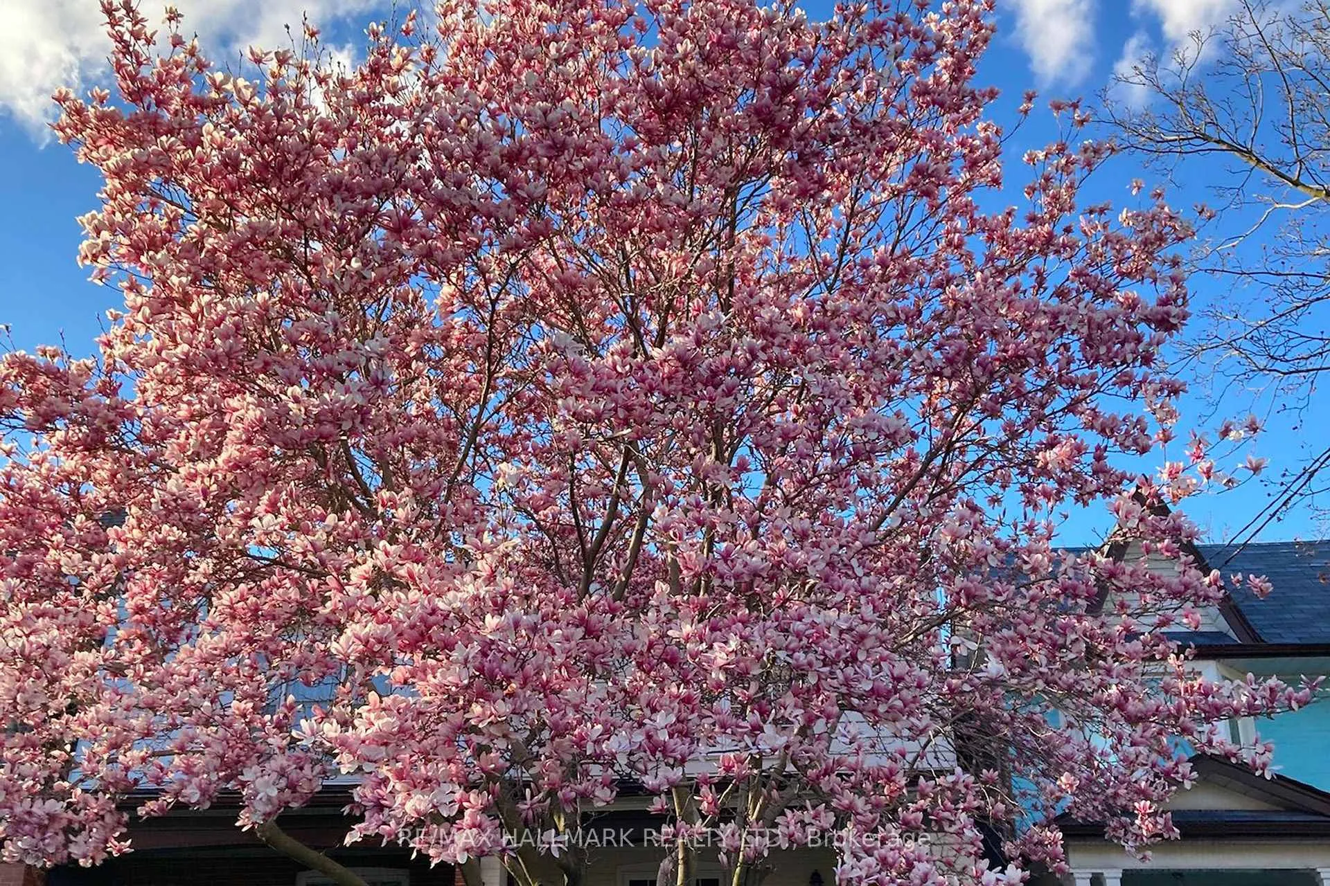 Photo 45 of 24 Richard Avenue, Toronto, Greenwood-Coxwell — HOMEH