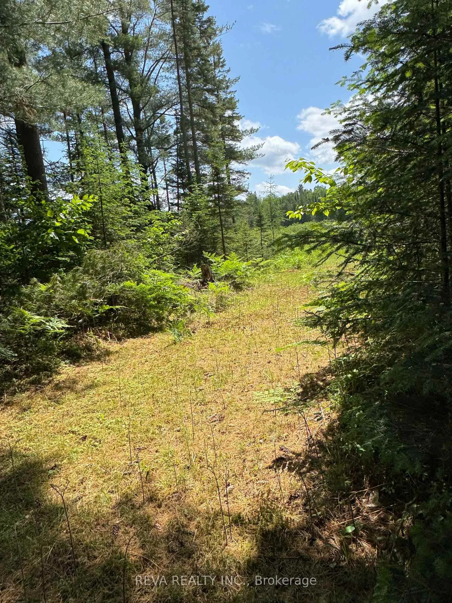 Photo 9 of Williams Lake Road, Hastings Highlands, McClure Ward — HOMEH