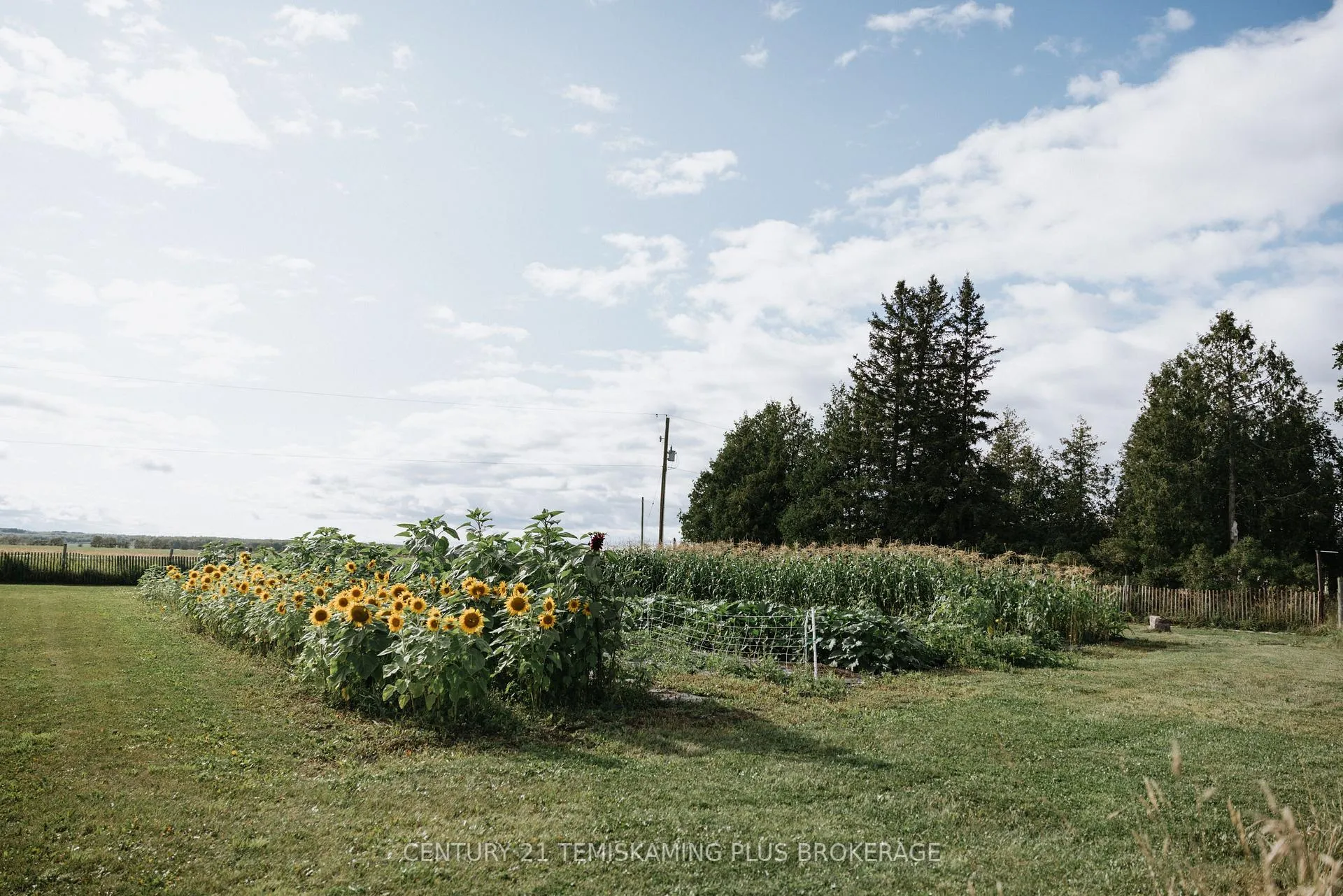 Photo 32 of 46774 Highway 562, Timiskaming, TIM - Outside - Rural — HOMEH