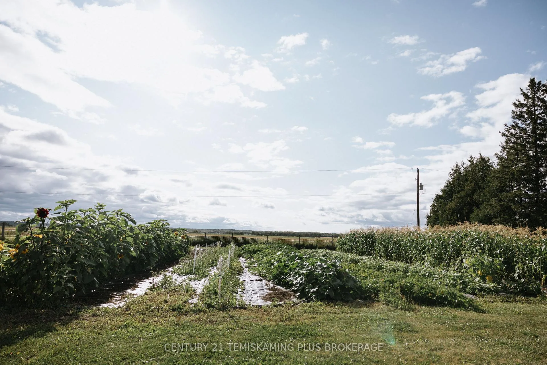 Photo 33 of 46774 Highway 562, Timiskaming, TIM - Outside - Rural — HOMEH