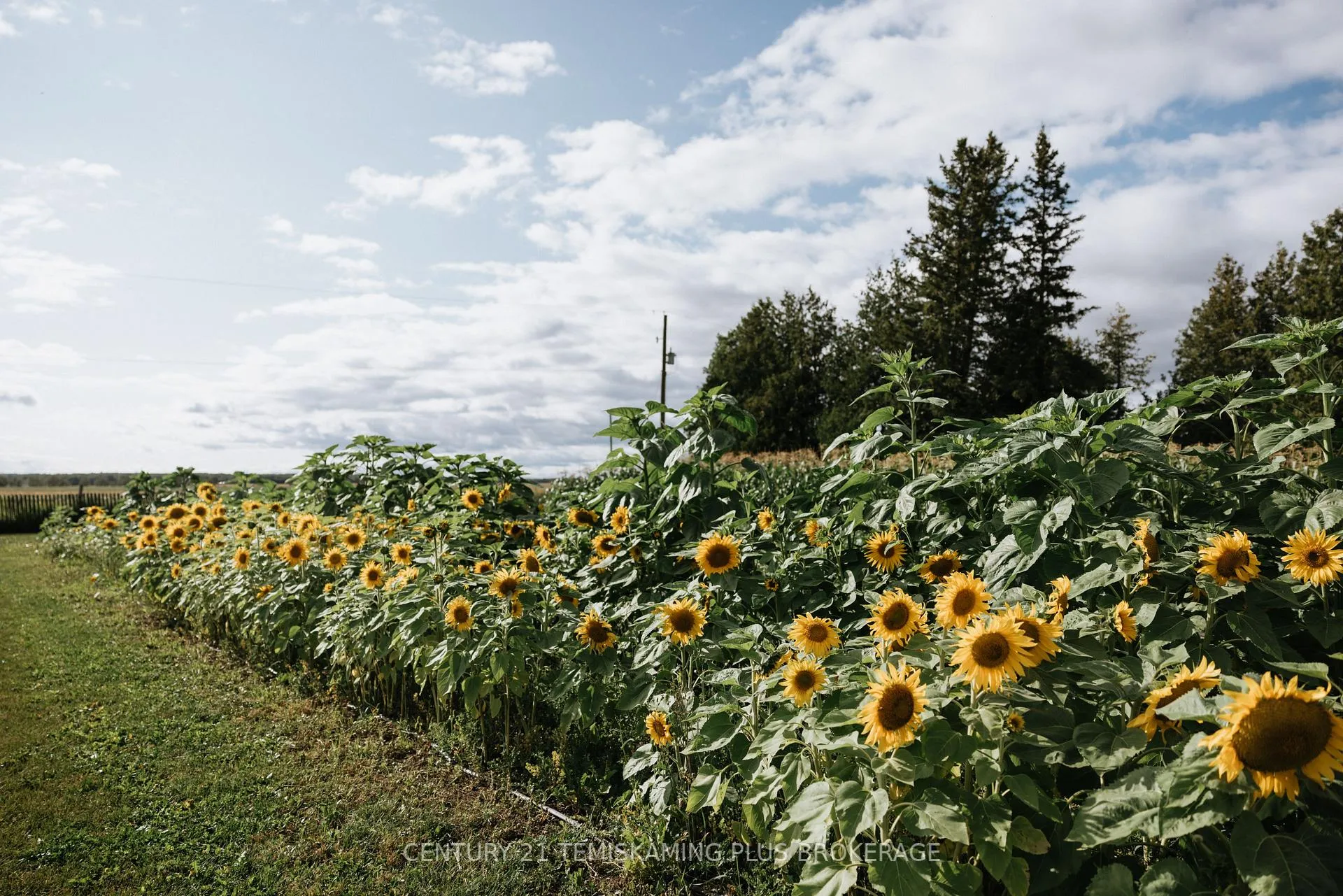 Photo 35 of 46774 Highway 562, Timiskaming, TIM - Outside - Rural — HOMEH