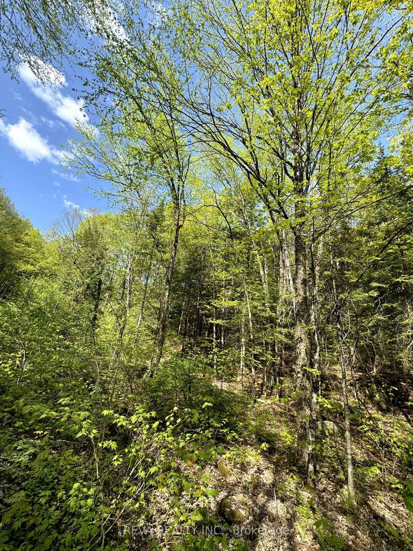 Photo of 0 Salmon Trout Lake Road