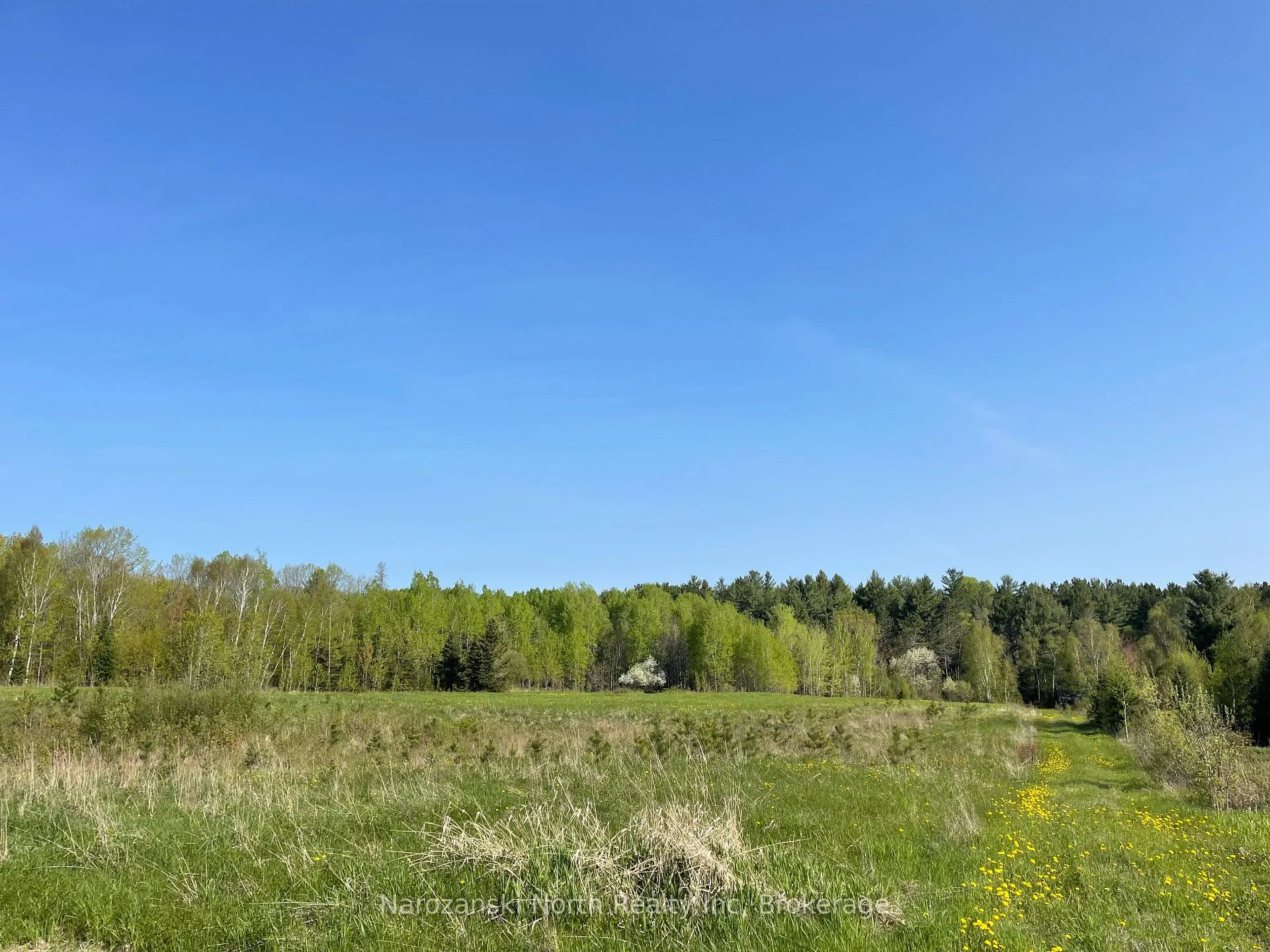 Photo 5 of LOT 3 Prevost Road, French River — HOMEH