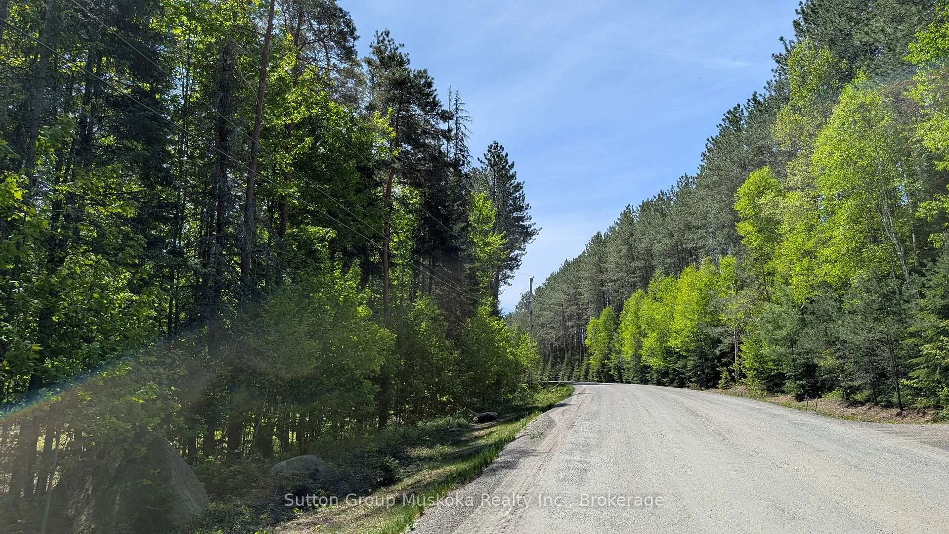 Front of Lot 1 Red Pine Trail