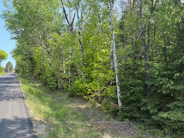 Photo of 147 So Ho Mish Road